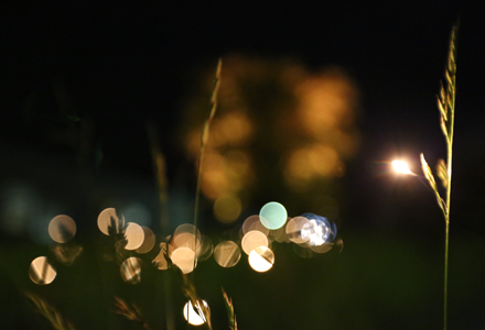 Vitra – Summer fireflies